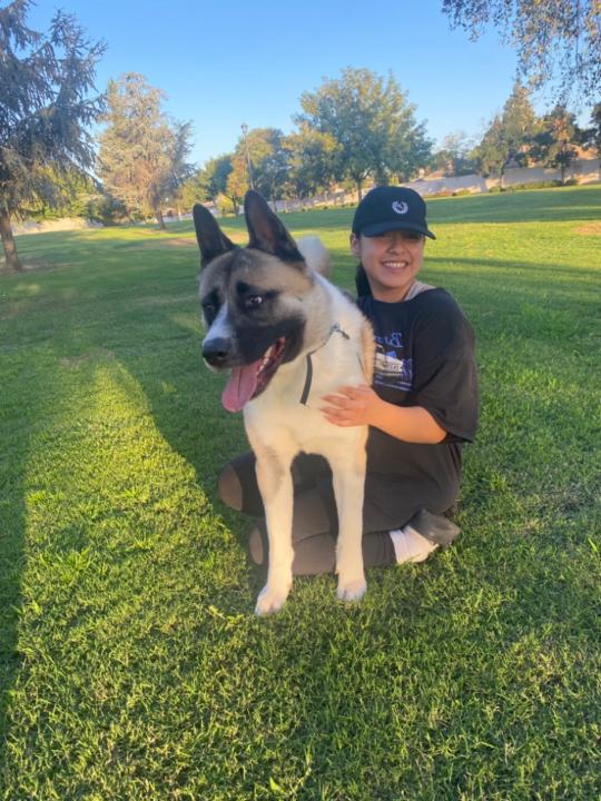 Karen Hurtado-Macias