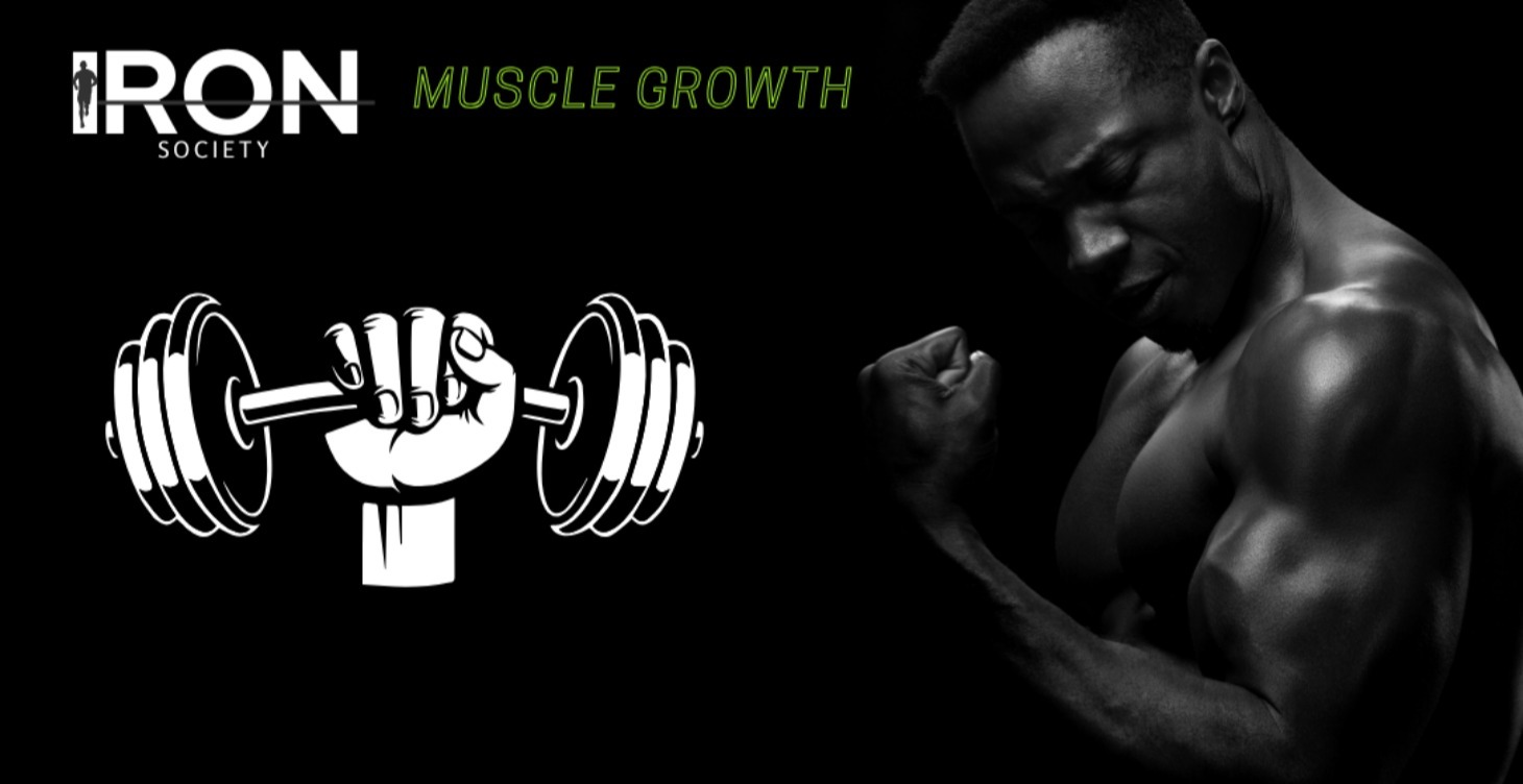 Foundations of Muscle Growth