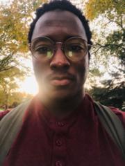 Seriki Muhammed Zul-Gambari
