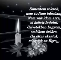 Viczkó Anita