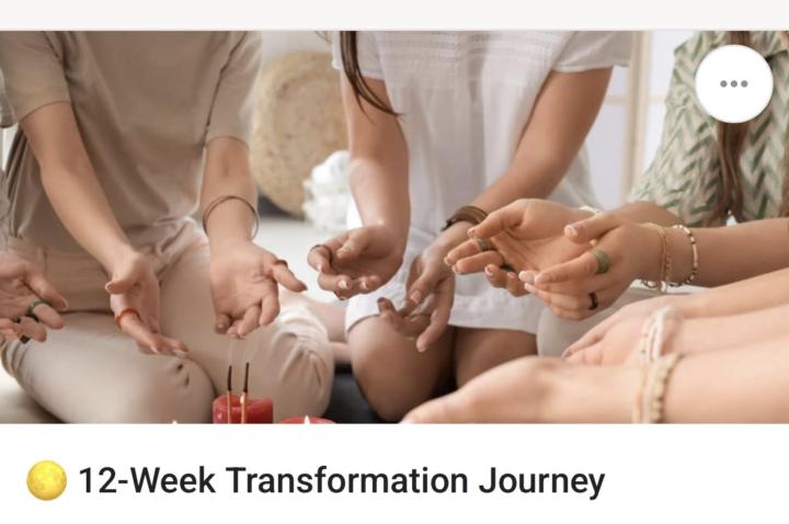 ✨ READY TO TRANSFORM YOUR LIFE IN 12 WEEKS? 