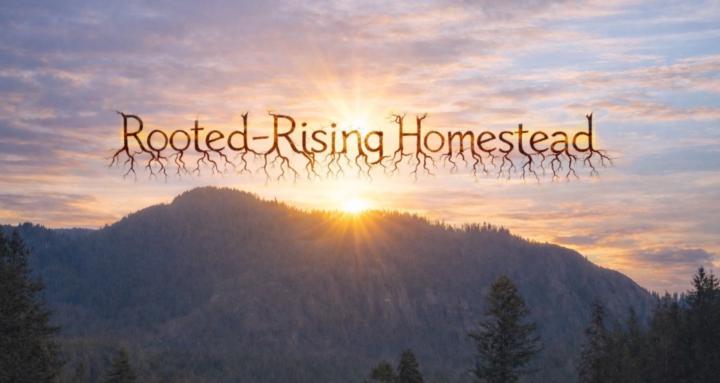 Rooted & Rising Homestead