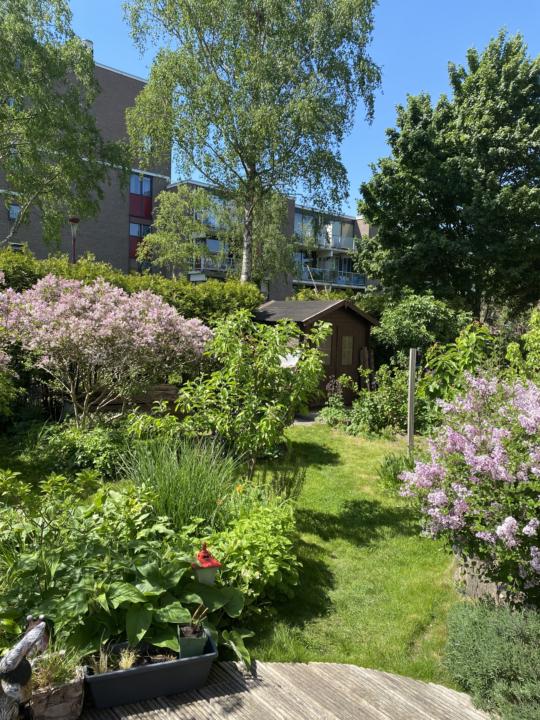 Wat zijn jullie hobby’s?