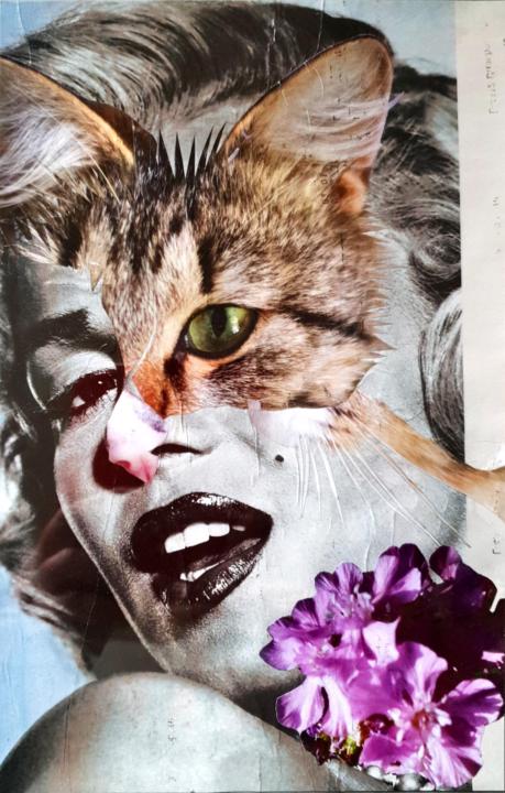 mensen en hun dieren (of: dieren en hun mensen?)