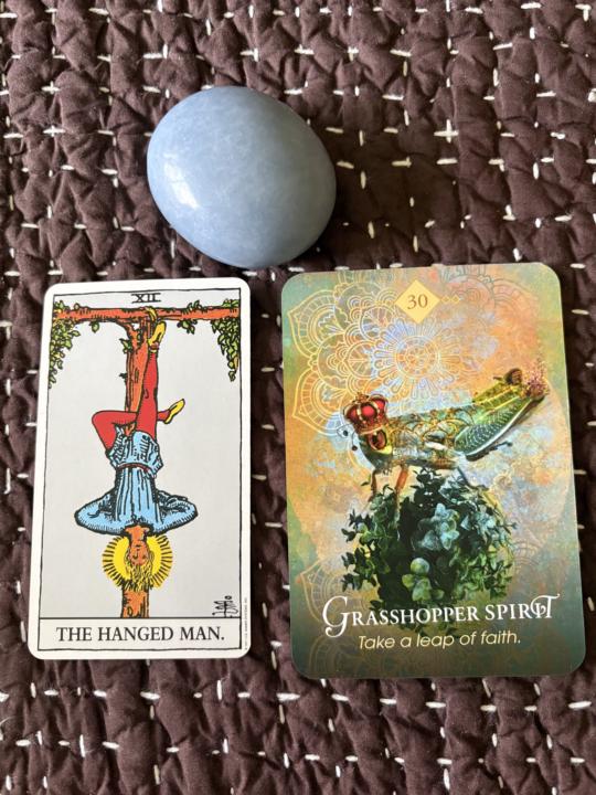 5/15/2026 card pull