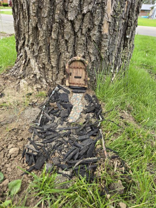 A fairy garden for my favorite tree