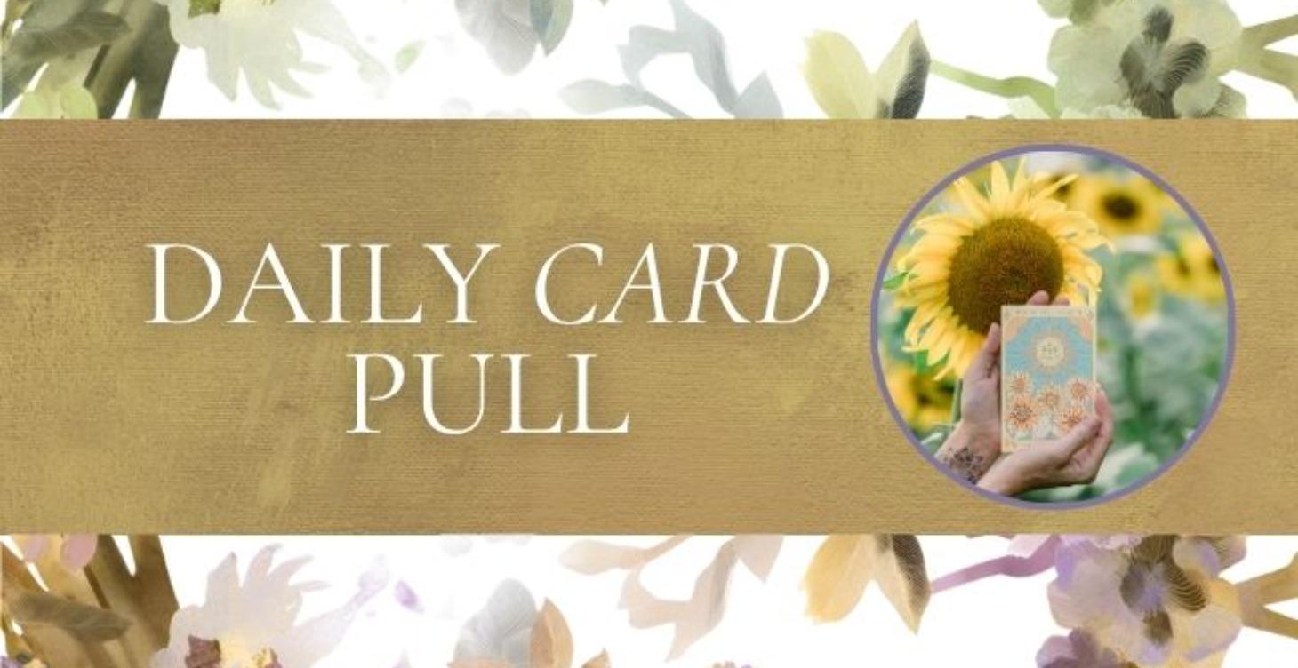 Our Daily Card Pull