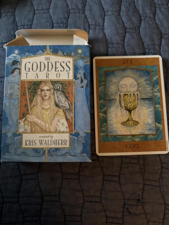 5/1/26 card pull 