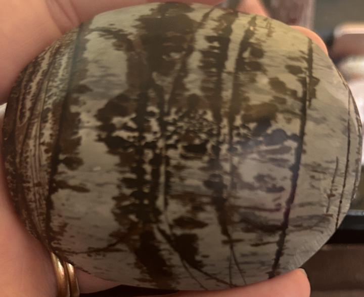 Picture Jasper