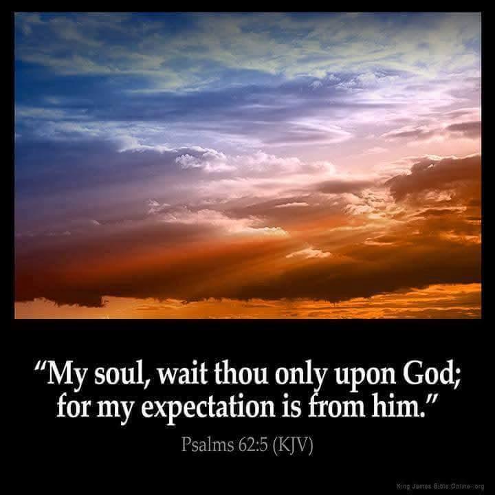 Finding Beauty as We Wait