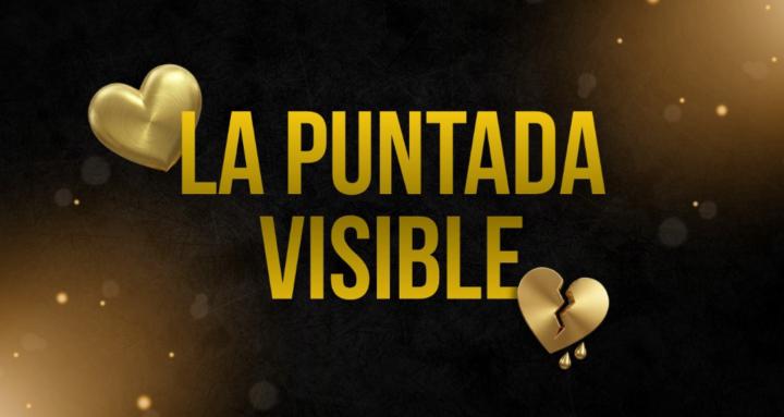 La puntada visible