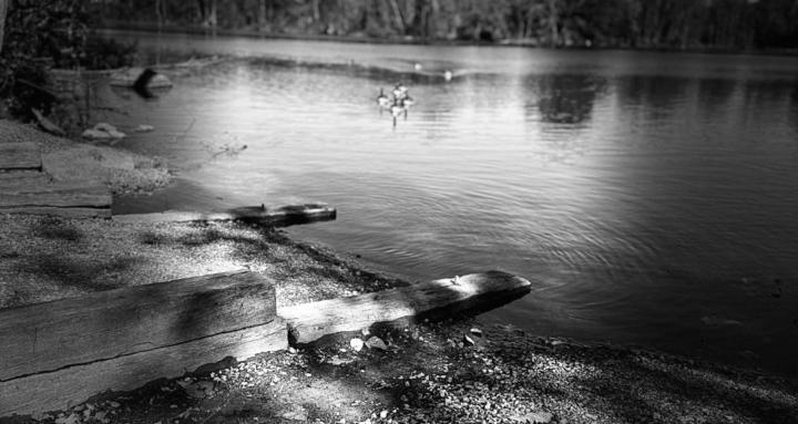 Reason, Season, Lifetime - RSL