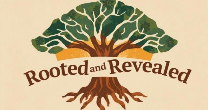 Rooted and Revealed Hub