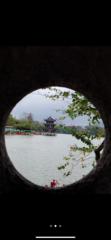 Yangjuan Zhao