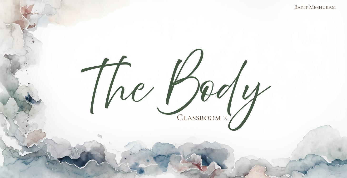 The Body