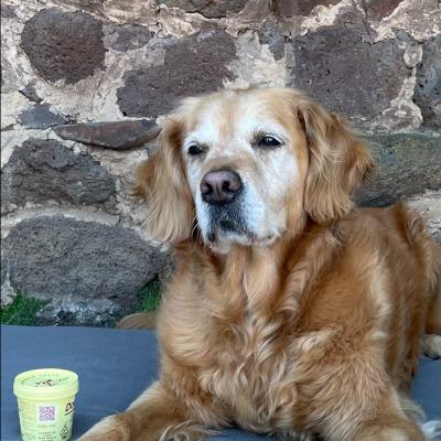 Ms Lyn Lock