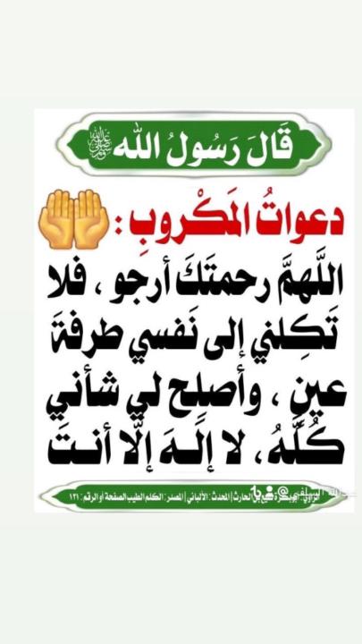 Abdalmuhsen Alrasheedi