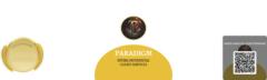 Paradigm Ics