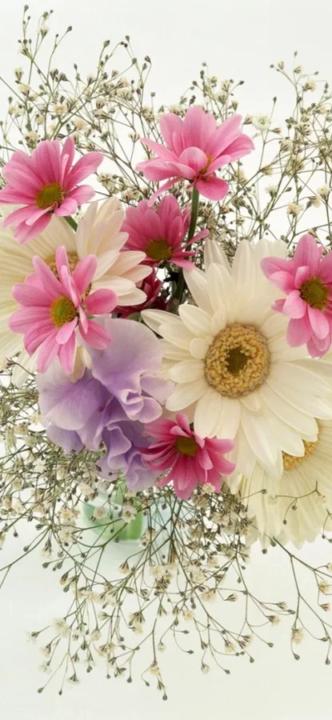 Debra McIntosh