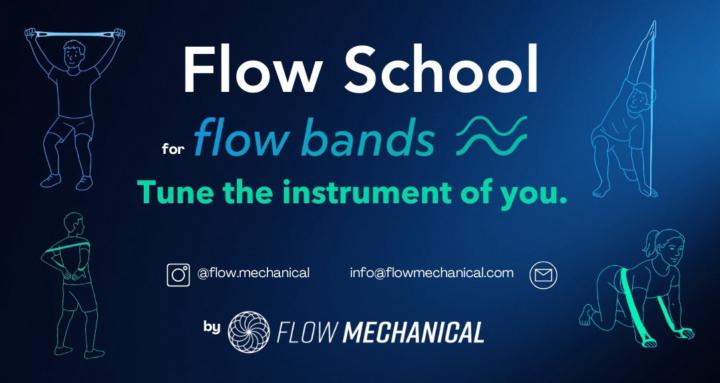 Flow School