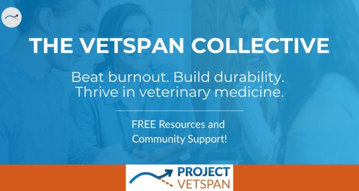 Vetspan Collective