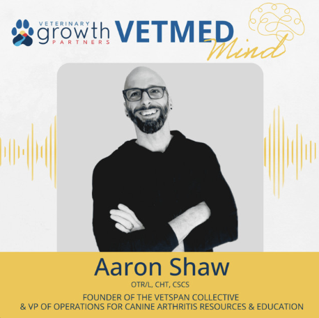 Success Stories & Lessons Learned