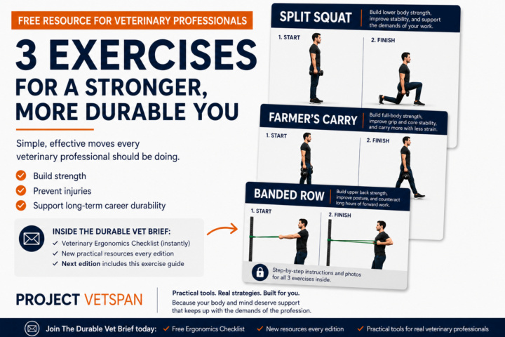 Top 3 Exercises