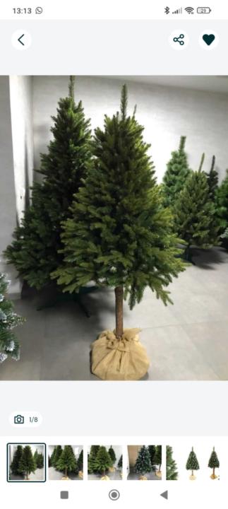 Jolanta Iwaniuk-Głuszczyńska