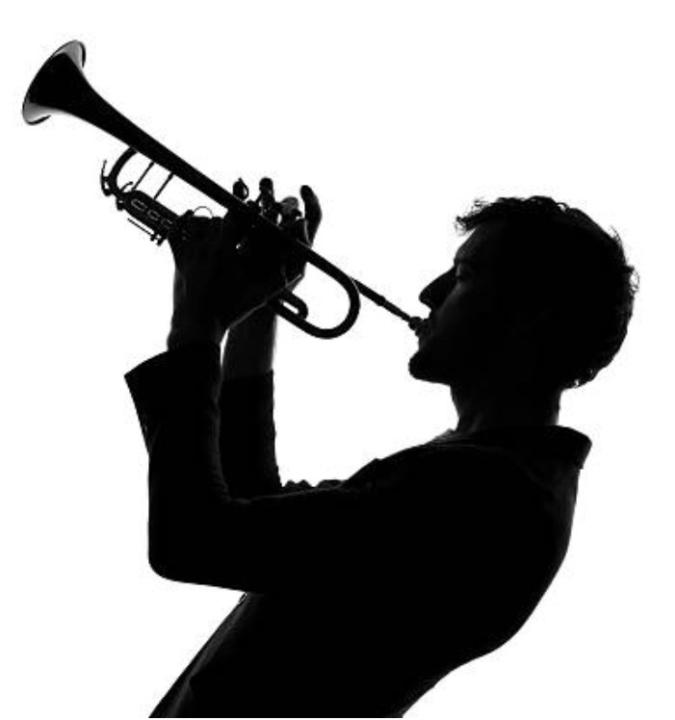 Franek Gallera