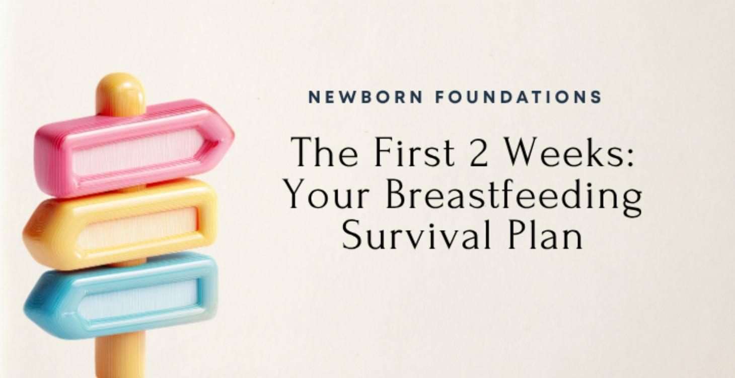 Your First 2 Weeks: Breastfeeding Survival Plan