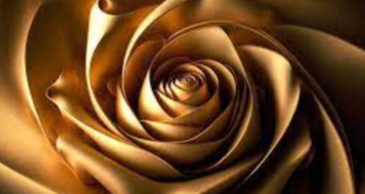 The Daydreamer Project