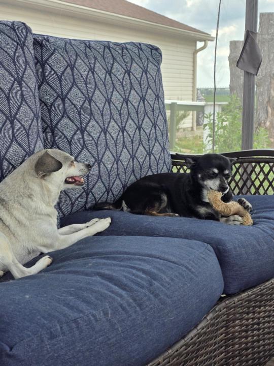 Christopher Heinberger