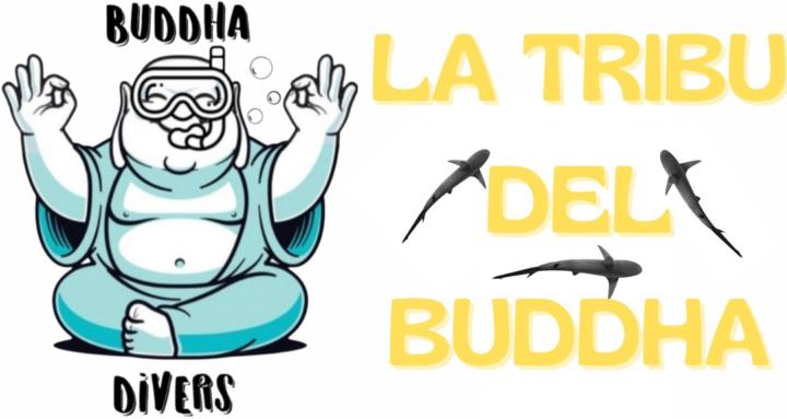 Buddha Divers pro