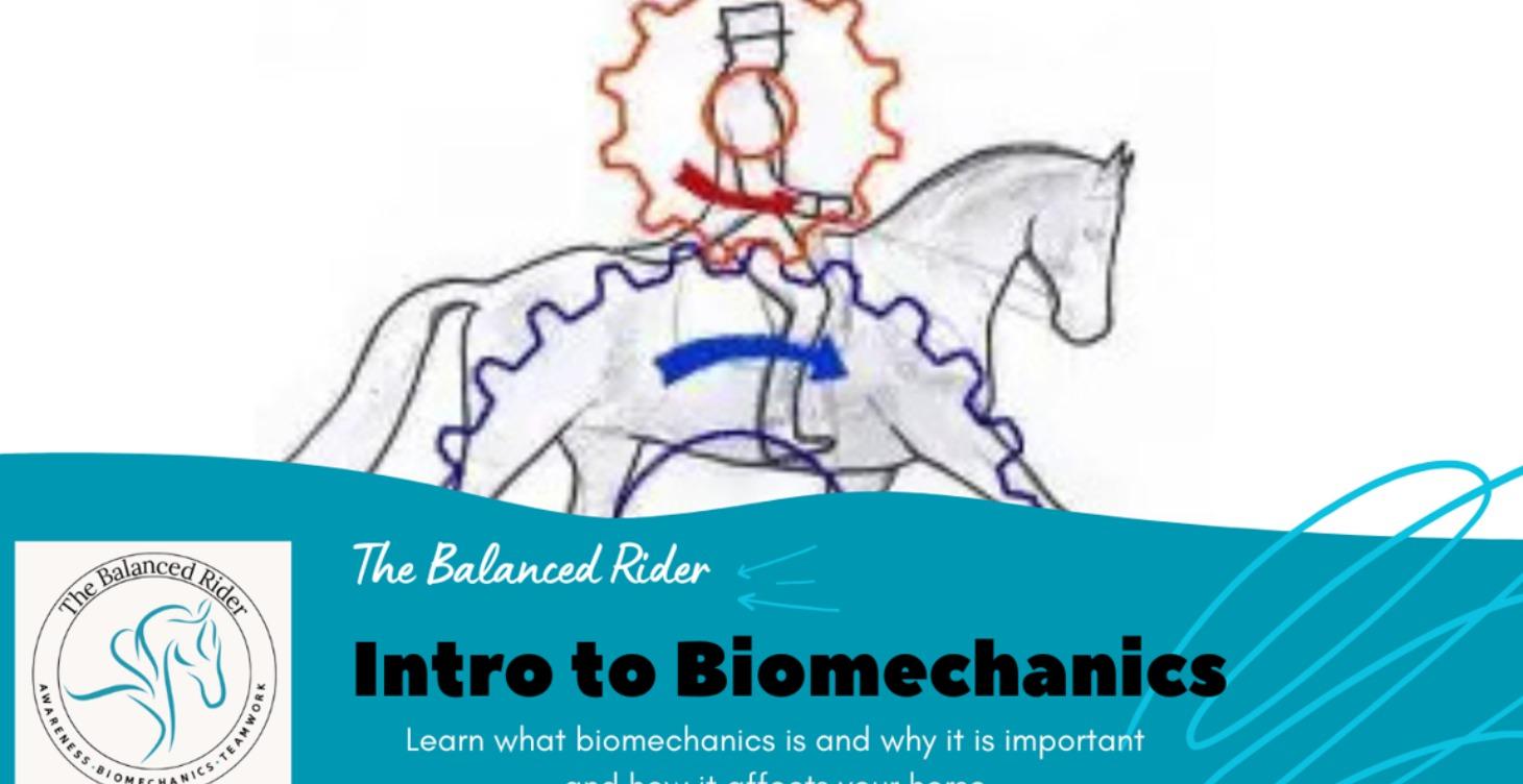 An Intro to Biomechanics