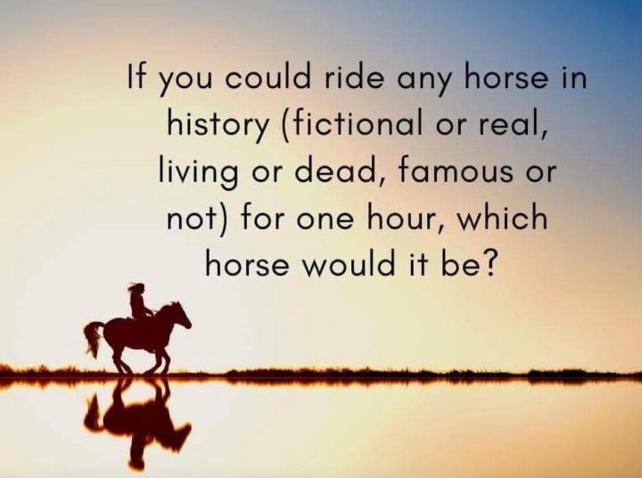 ☀️Good Morning Peeps! I Have a Question!