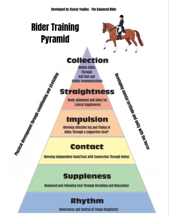 🤗The Rider Training Pyramid is Here! Rhythm 🎵