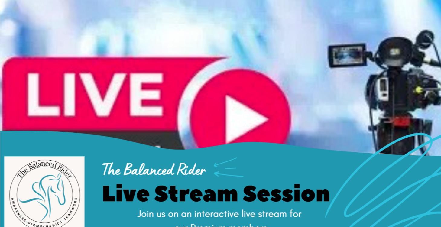 Live Stream