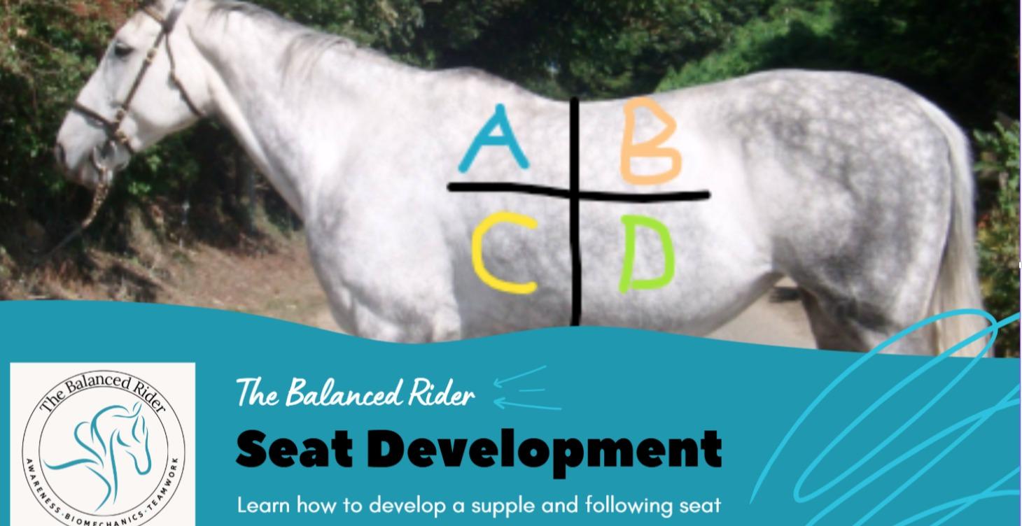 How To Ride The Horse's Body Not The Face