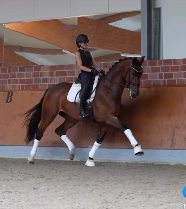 #FrameworkFriday - Seat Skills