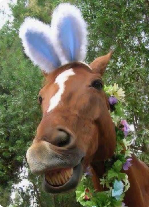 Happy Easter!