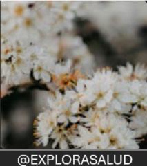 Salud Health Explora salud