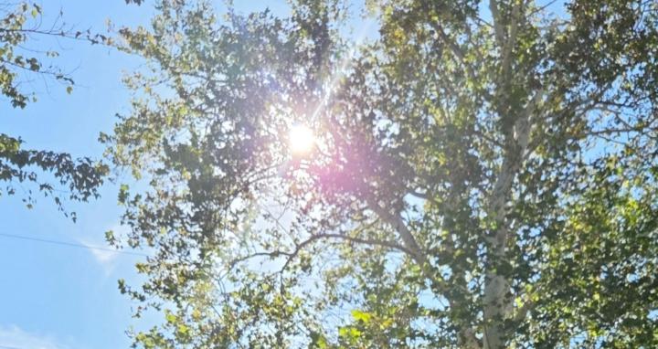 MeEra: JoyfulGrowthJourney