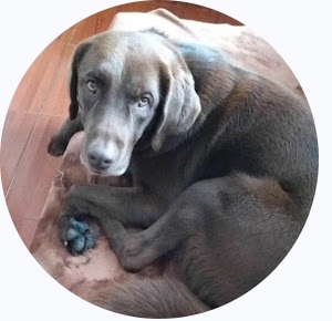 Sergio andres Giraldo jurado