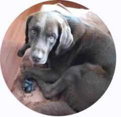 Sergio andres Giraldo jurado