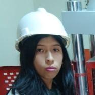 Lizbeth alejandra Vilcapoma camposano