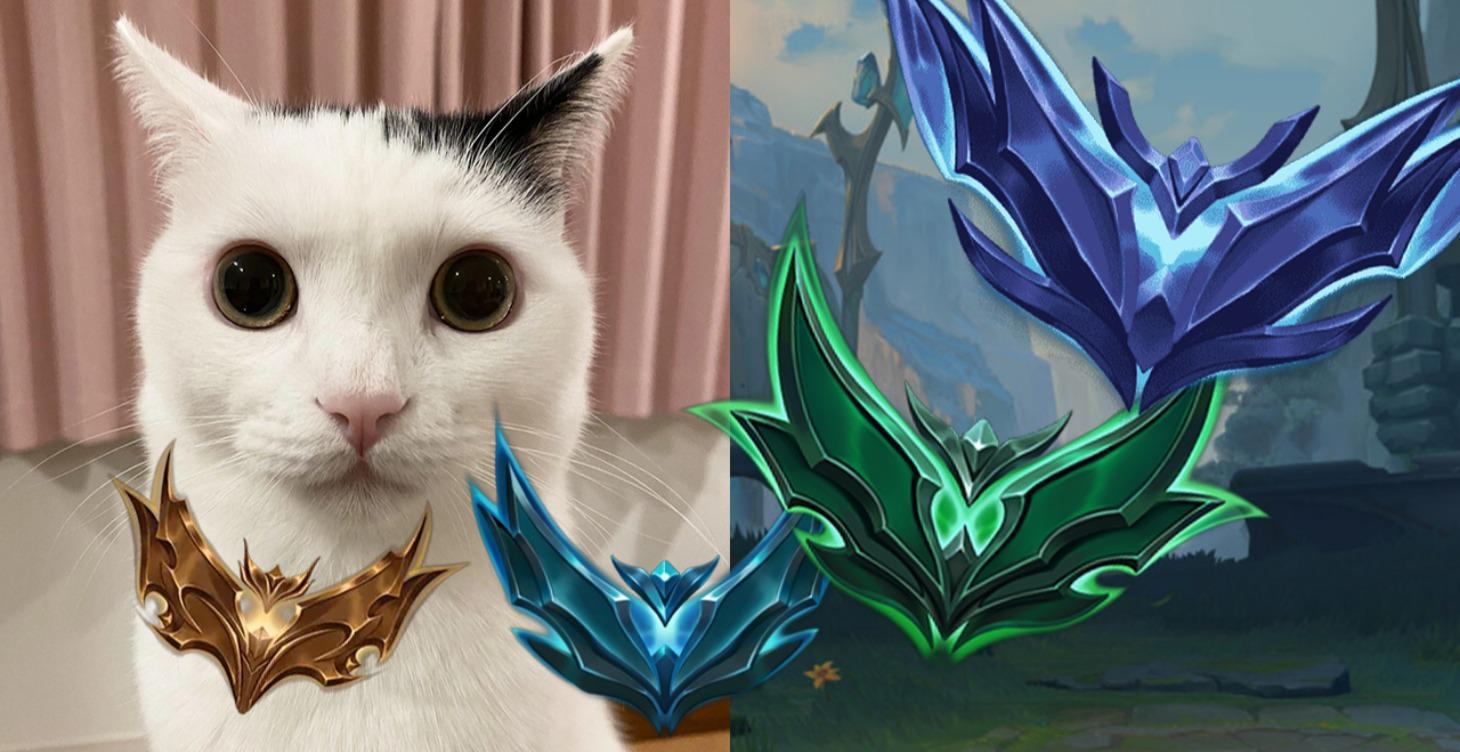 NON CHALLENGER GAMES