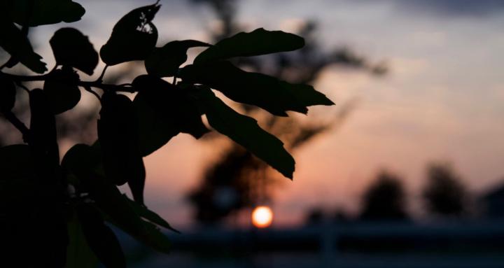 Serenity Flows Collective