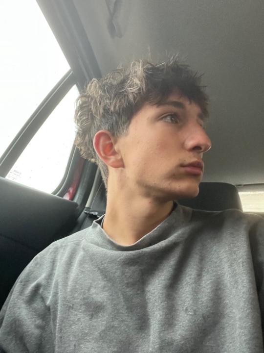 Félix Avendaño Fejt