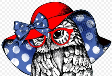 Test Test