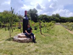 Jose Villarreal